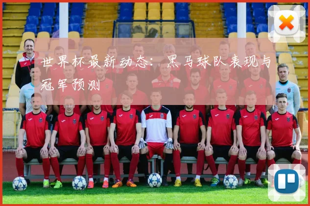 世界杯最新动态:黑马球队表现与冠军预测
