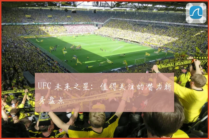 UFC 未来之星:值得关注的潜力新秀盘点