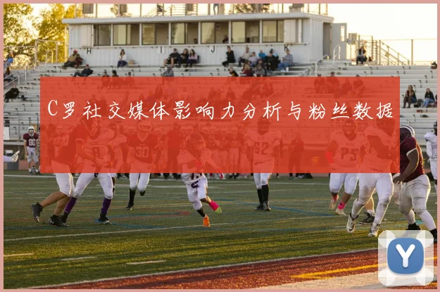 C罗社交媒体影响力分析与粉丝数据