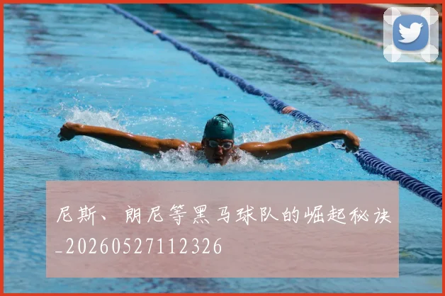 尼斯、朗尼等黑马球队的崛起秘诀_20260527112326